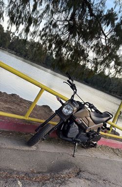 2024 Honda Navi