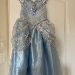 Disney Cinderella Dress / Costume 