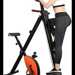 Bicycle and stair climber 