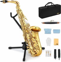Alto Saxophone Kit with Accessories - New