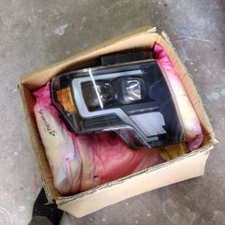 Ford F-150 Headlight Passenger 