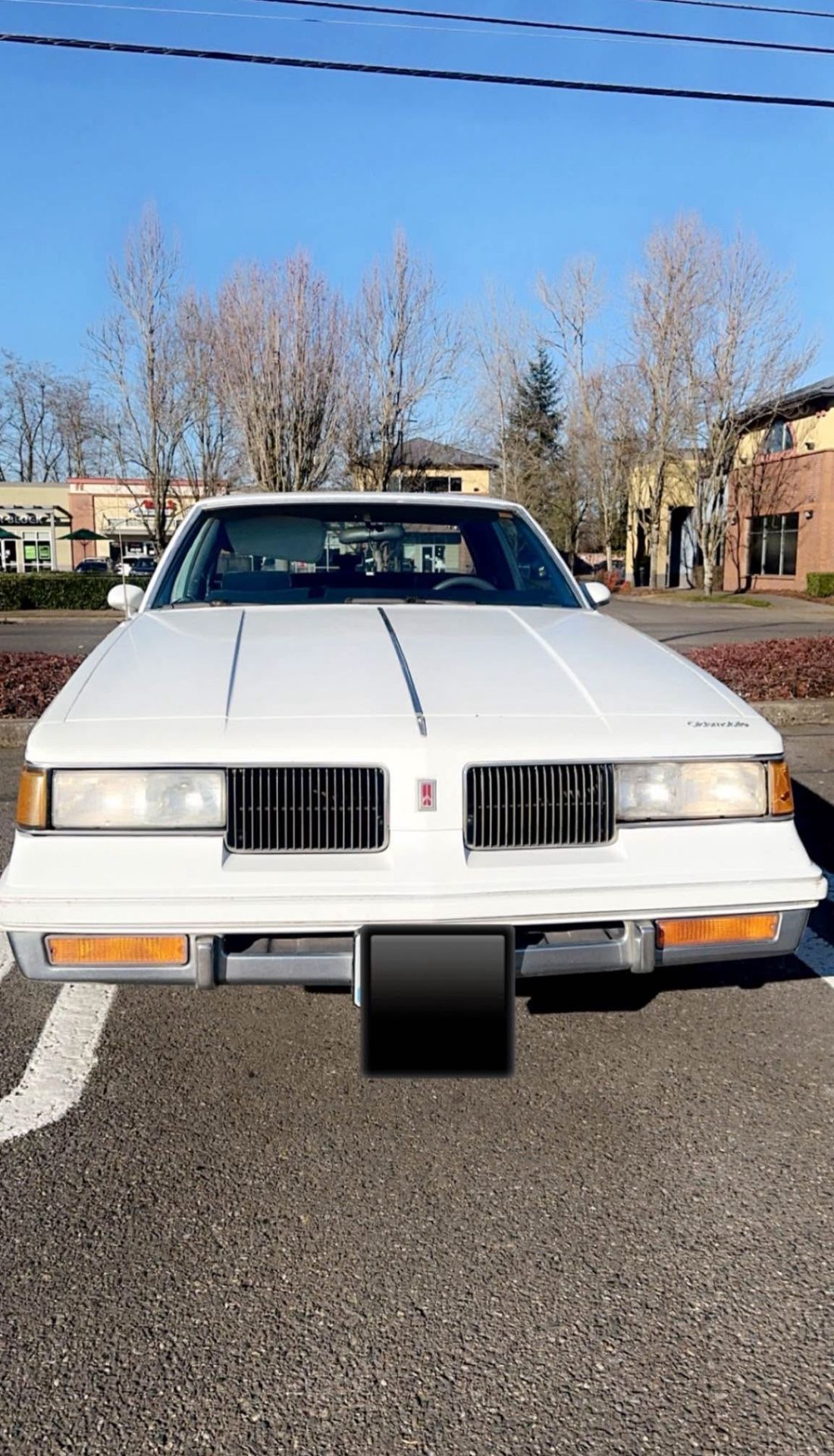 1987 Oldsmobile Cutlass