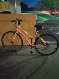 Bike girls