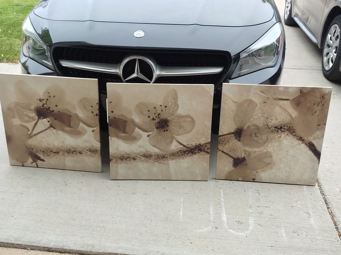 Flower Frames Pictures