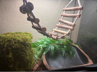 Snake enclosure