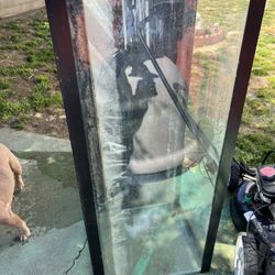 Fish Tank