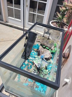 10 Gallon Tank