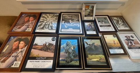 Lot of 11 Photo Frames + 2 Framed Wildlife Pictures