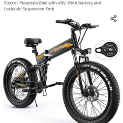 TotGuard Electric Bike