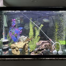 30 Gallons Fish Tank, Size Is 30 x 18,5 x 12