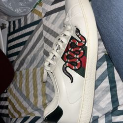 Gucci Kingsnake Shoes (Collector’s Item)