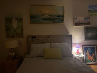 Free Queen Beige Cream Soft Upholstery