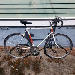 Vintage Raleigh Record Ace Racing Bike