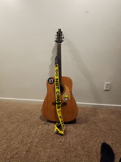 Mitchell guitar