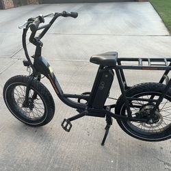 Rad Power Electric Bike