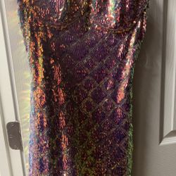 Brand New Sequin Dress