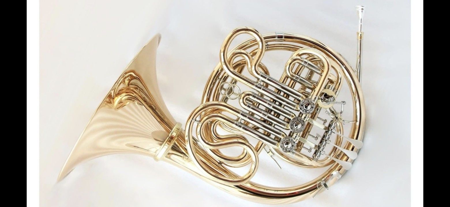 CLASES DE CORNO FRANCES 60 ADOMICILIO INCLUYE ARMONIA SOMFEI Y TEORIA MUSICAL
