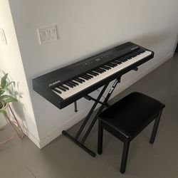 Piano - Alesis recital pro (with Stand And Bench)