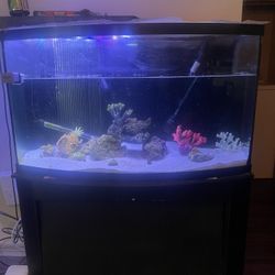 55 Gal Bowfront Fish Tank 