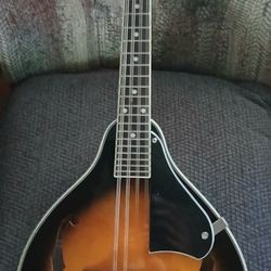 Brand New Mandolin 