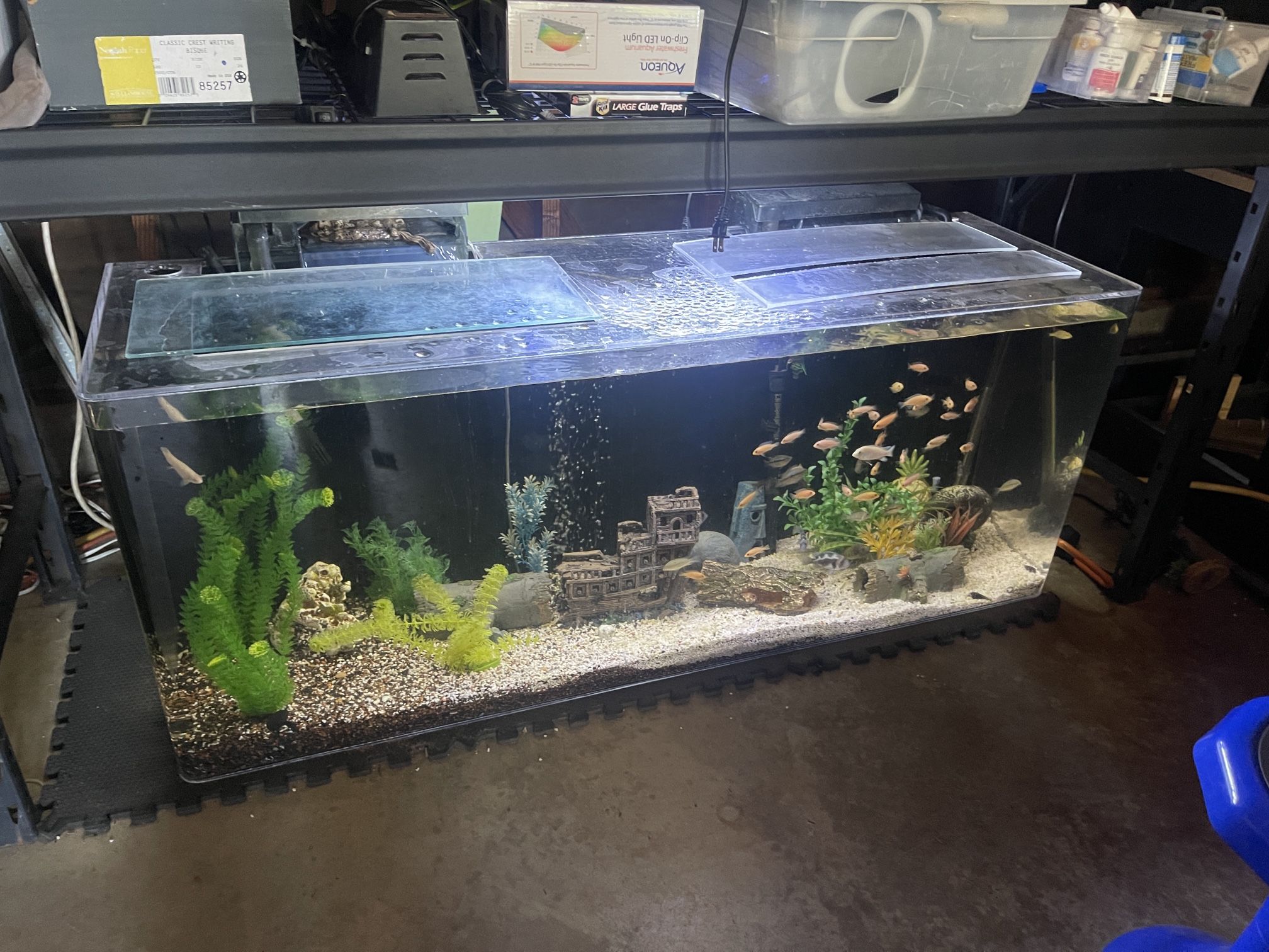 100 Gallon Fish Tank 