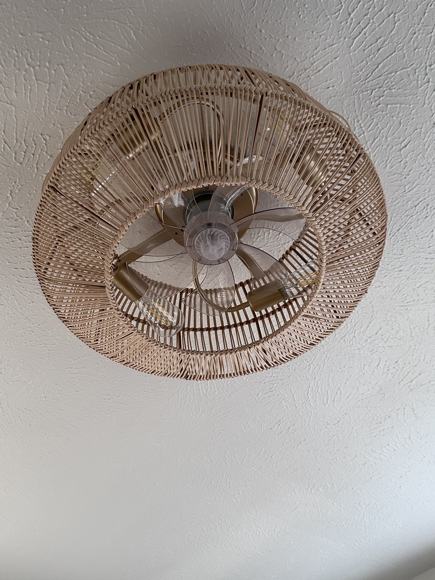 Brand New Open Box ($40)