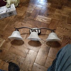 Transitional Vanity Lites W Bracket