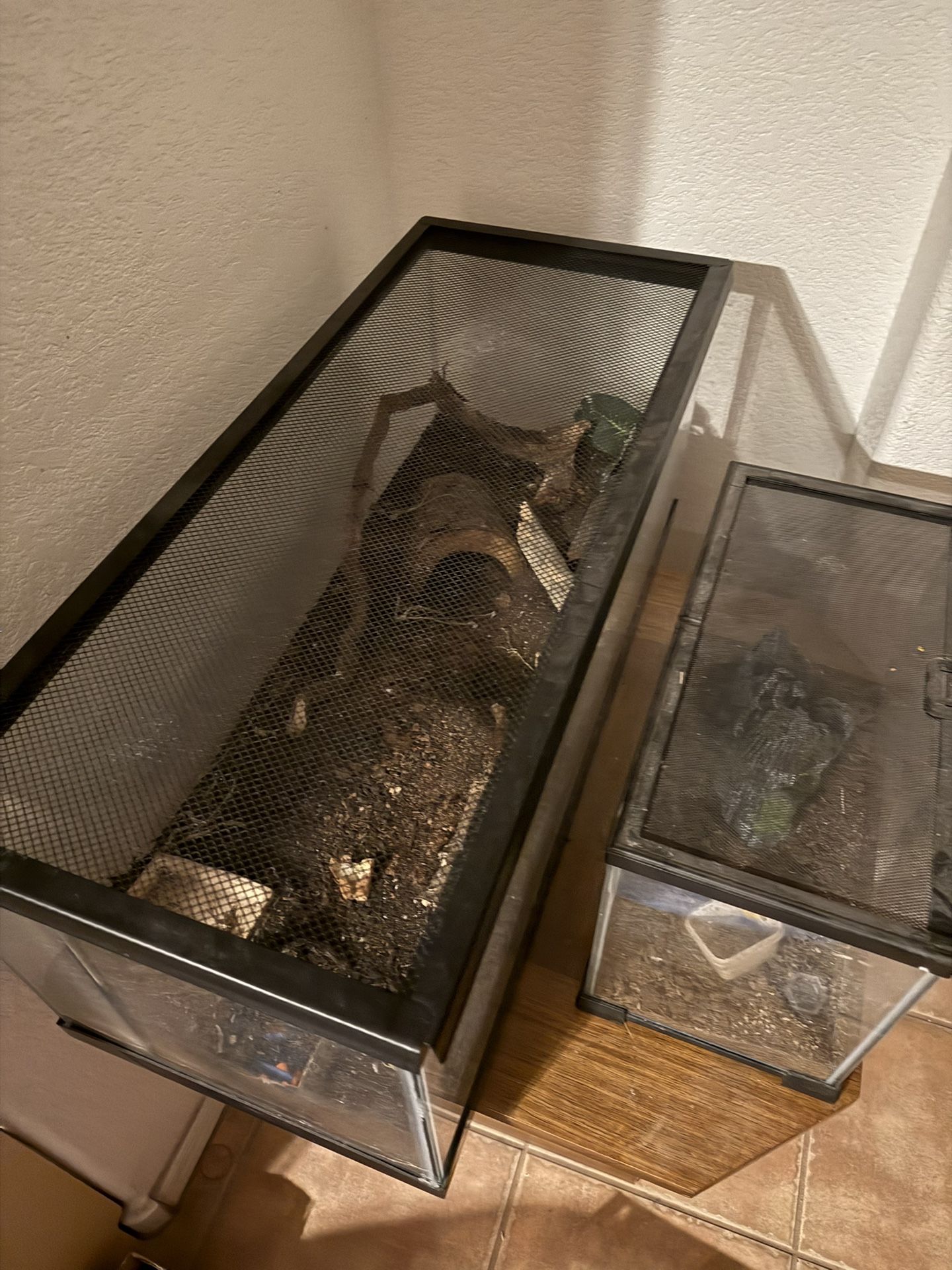 2 Terrarium With Clean Dirt For Tarantula