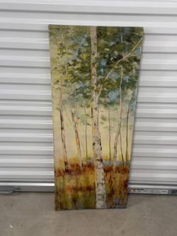 Large Birch Tree Canvas Wall Art 40x16