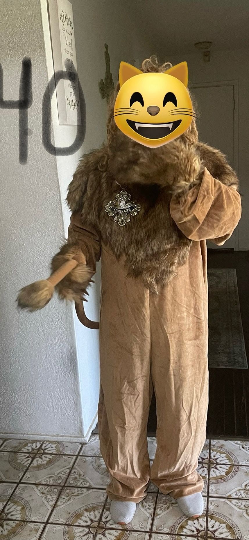Halloween Costume 