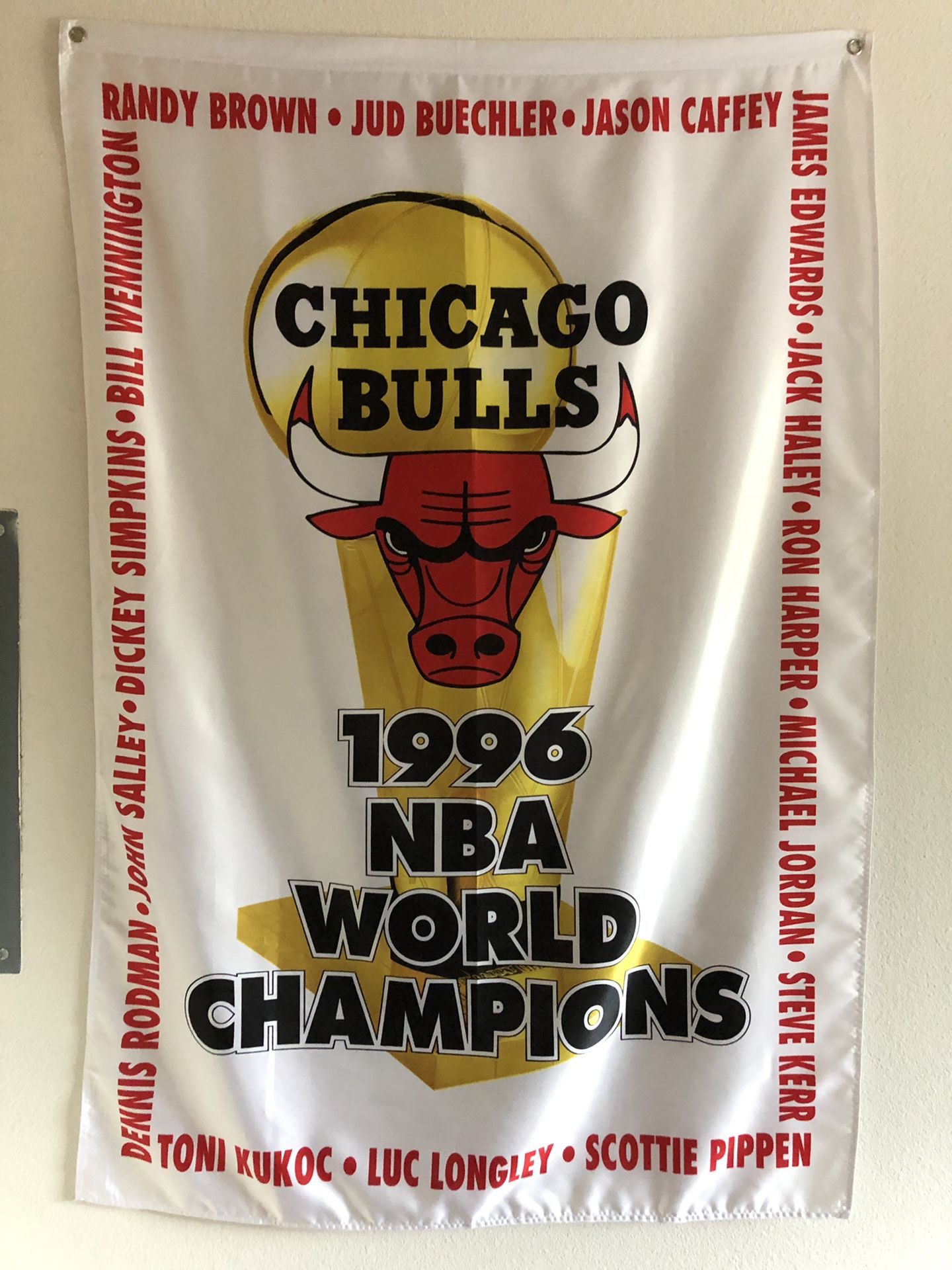Chicago Bulls 1996 Championship Banner