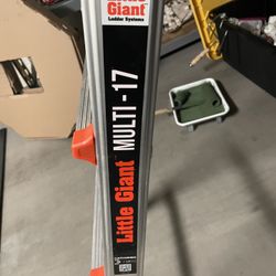 Little Giant Ladder Multi 17