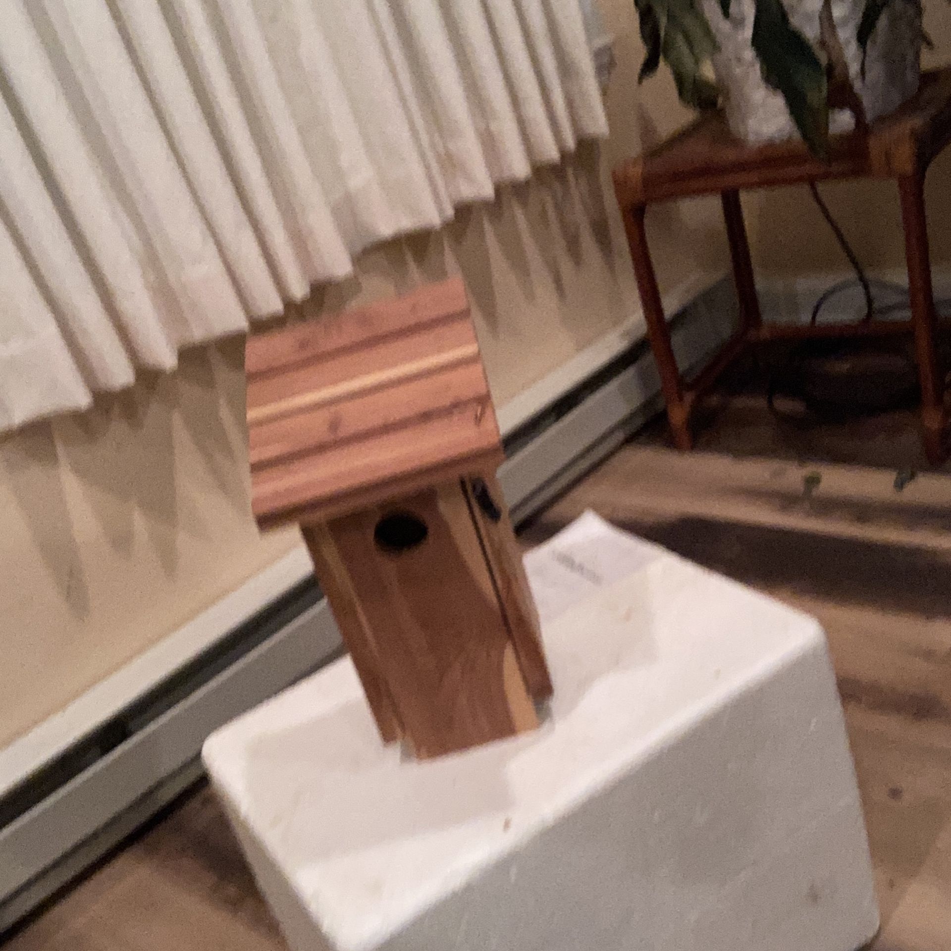Unfinished Bird House