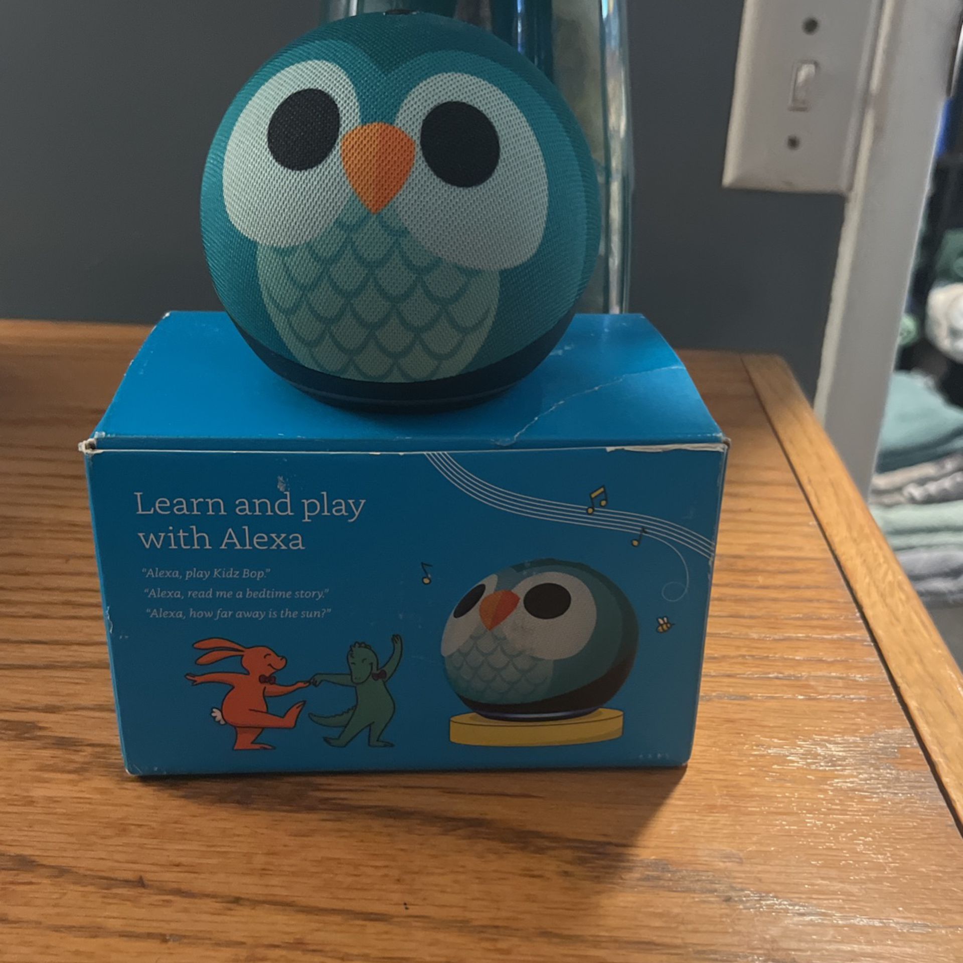 *Brand New* Alexa For Kids / Learn & Grow 