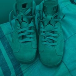 Jordan 6s
