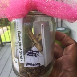 Manifestation Of Blessings Jar