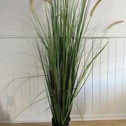 Fake House Plant 