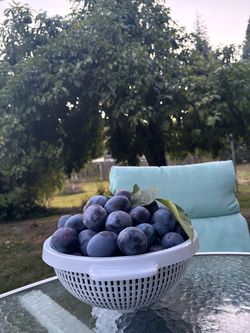 Organic fruit from home tree