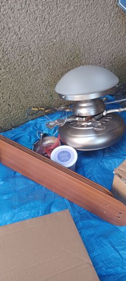 Ceiling fan/light