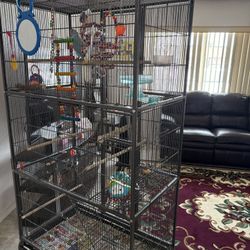 Cage 🦜  Toys Food 