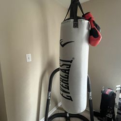 Everlast Punching Bag With Gloves 