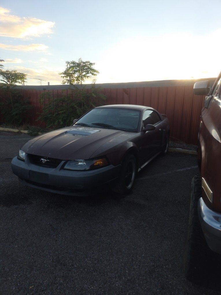2002 Ford Mustang