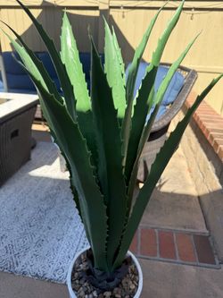Artificial Agave plant