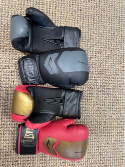 Youth Everlast Boxing Gloves