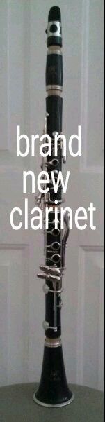 Brand New Clarinet And Case, Has Never Been Played