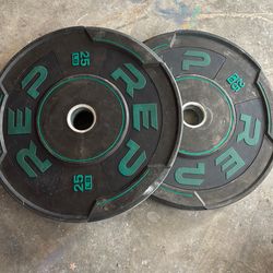 REP weights
