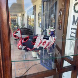 Curio Collectors Display Case