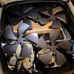 Tesla Model Y Is 19 Size