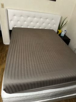 White bed Frame