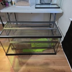 3 Lizard Tanks 